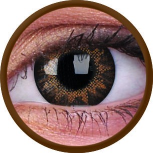 TruBlends Hazel (Tageslinse) (10 Stk.)