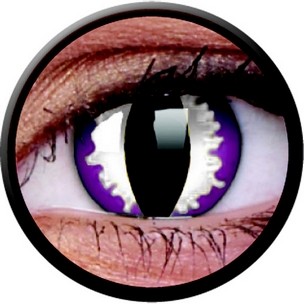 Purple Dragon (Jahreslinse) (2 Stk.)