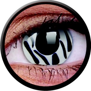 Zebra (Jahreslinse) (2 Stk.)