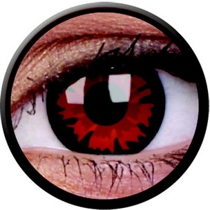 Volturi (Jahreslinse) (2 Stk.)