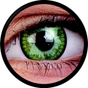 The Host (Jahreslinse) (2 Stk.)